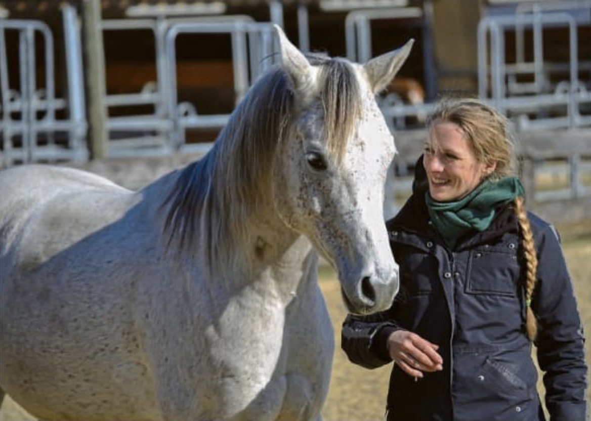 Zur Pony-Party bei der Pferdeflüsterin