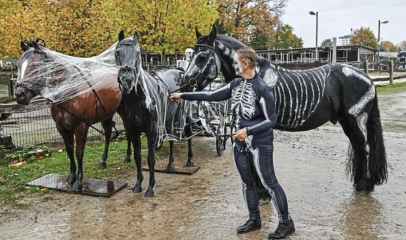 Geisterpferde und Geisterbahn